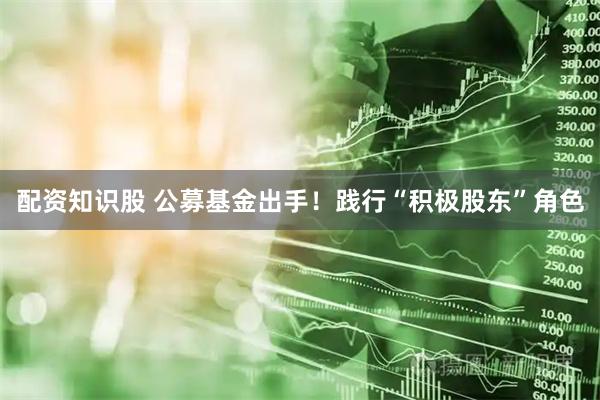 配资知识股 公募基金出手！践行“积极股东”角色